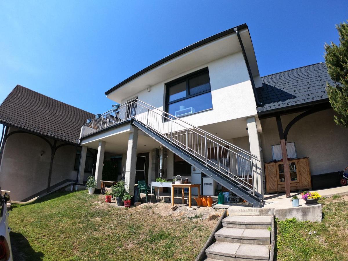 Ferienwohnung Pauli 몰비슈암시 외부 사진
